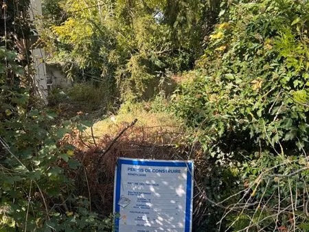 terrain constructible