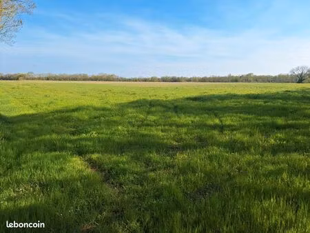 terre agricole (5 hectares)