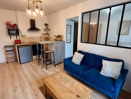 joli t2 meublé avec jardin privatif en centre-ville