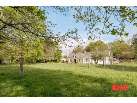 achat maison 5 pièces 67m² colpo 56390