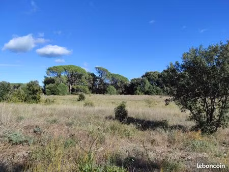 terrain agricole (à louer)