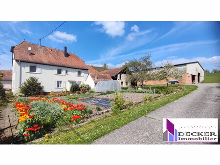 achat maison 6 pièces 162m² zinswiller 67110