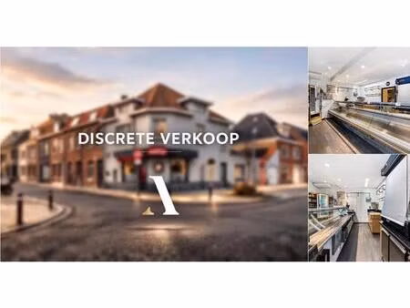 surface commerciale à vendre à karel van manderstraat 18 assebroek (rbv72633)