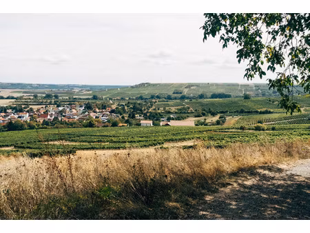 vente terrain 950 m² montereau-fault-yonne (77130)