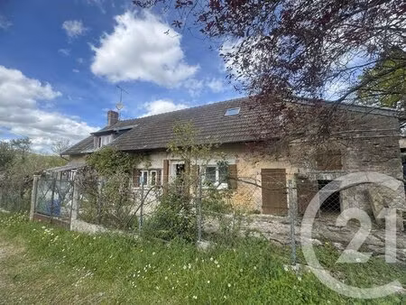 achat : maison (58210)