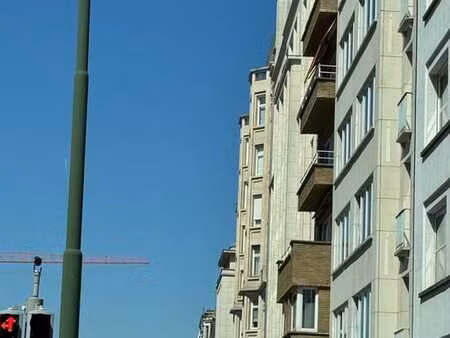 magnifique appartement remis à neuf  2 chambres  2sdd  wsp