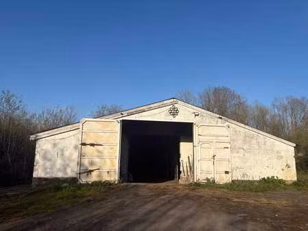 entrepot de 470 m² à louer à hal