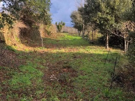 terrain à sisco (cap corse)
