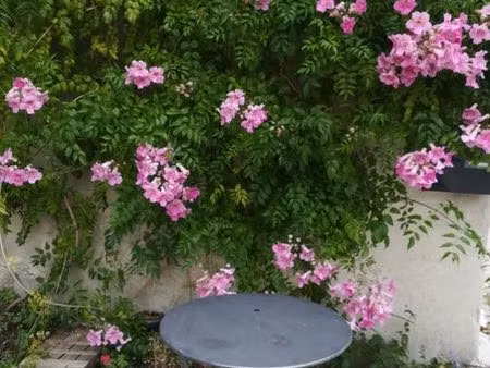 meublé 52 m2  st-rémy