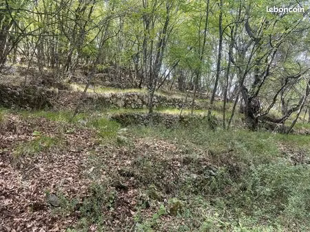 terrain 6377 m² sospel