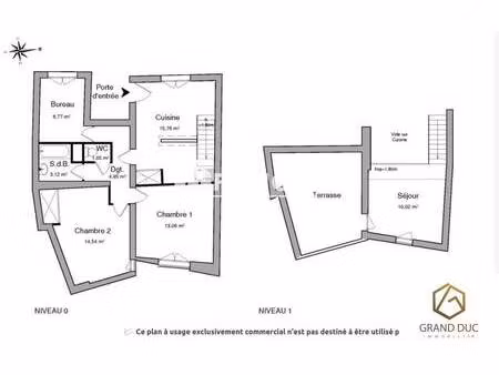 grand duc immobilier