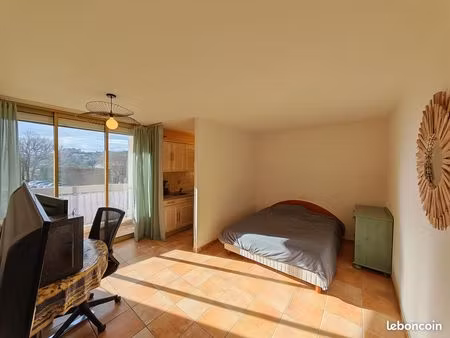 studio 29m² le belle-viste avec vue château