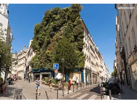 boutique 37 m² paris