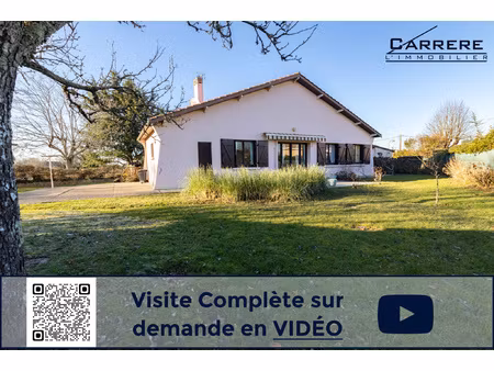 carignan de bordeaux