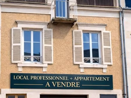 ensemble mixte à vendre quartier baffier - local professionnel entrepôt avec bureaux et ap