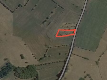 verger en pleine nature