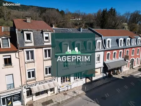 immeuble 15 pièces 344 m²