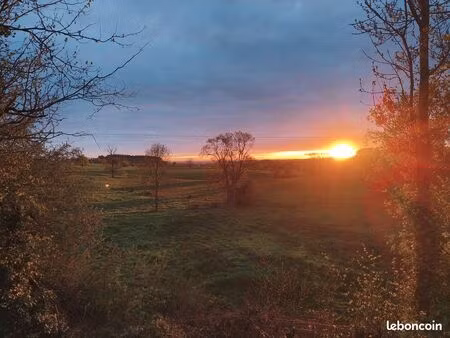 maison plain-pied 103m² – terrain boisé 7 347m² – 15 min montluçon – terjat