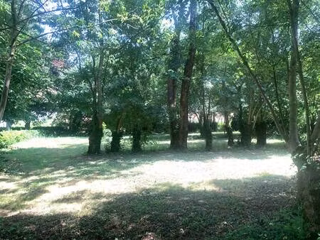 terrain constructible viabilisé à vendre