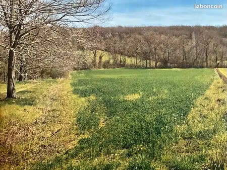 terrain 1 hectare 300