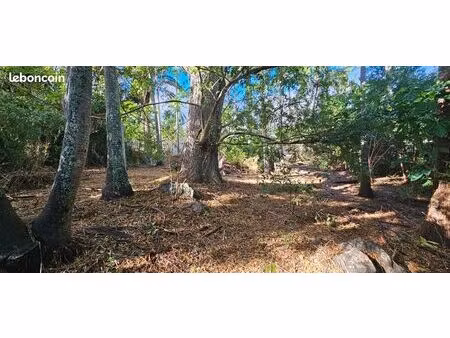 terrain – piton saint-leu