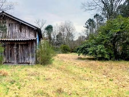 terrain constructible de 2547 m2 gourbera