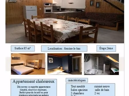 appartement meublé 3 pièces 85m2