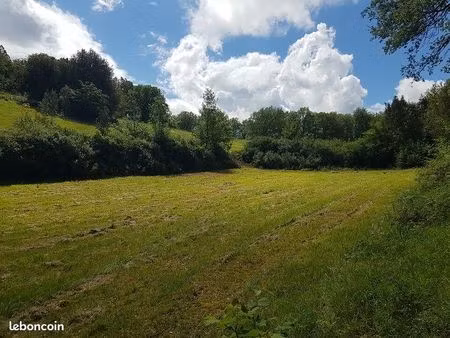 terrain de 22 hectares avec ruine de pierre
