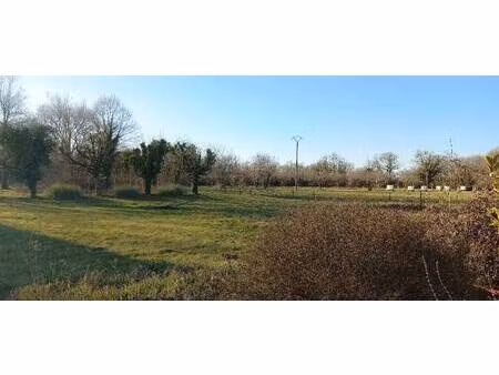 terrain constructible à vendre