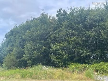 terrain 430 m² saubrigues