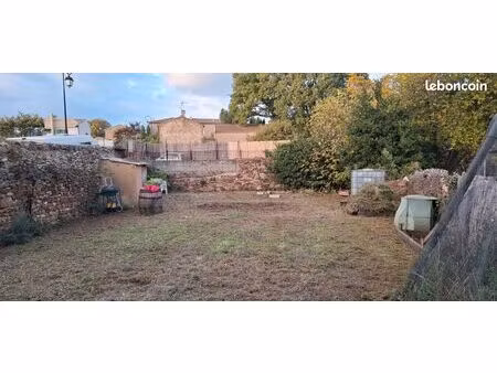 terrain potager cabanon puit