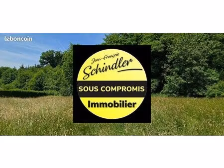 terrain 1880 m² étueffont