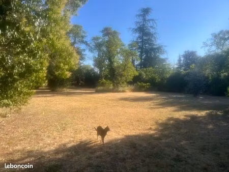 terrain à vendre