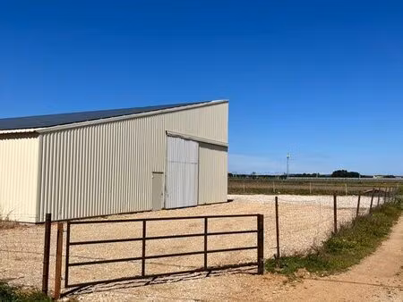 hangar agricole stockage