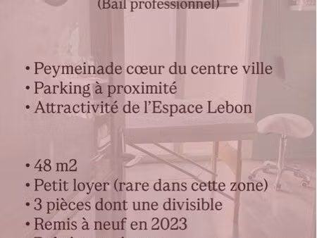 local professionnel 48m2