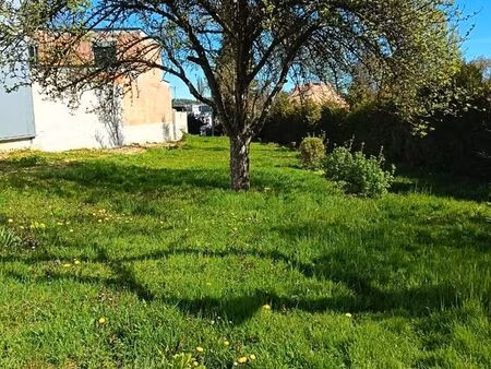 maison et grand terrain