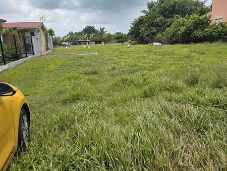 terrain plat boisvin le moule 1023m²