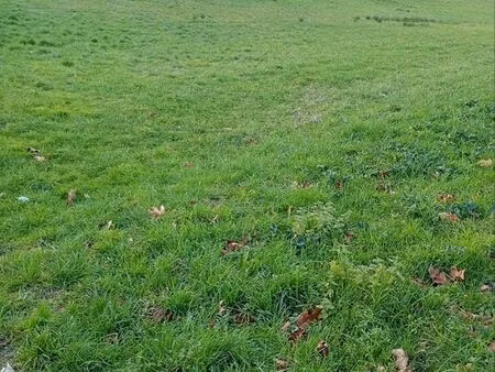 terrain1800metres carré