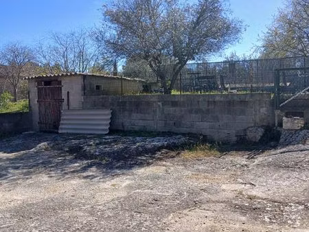 terrain constructible