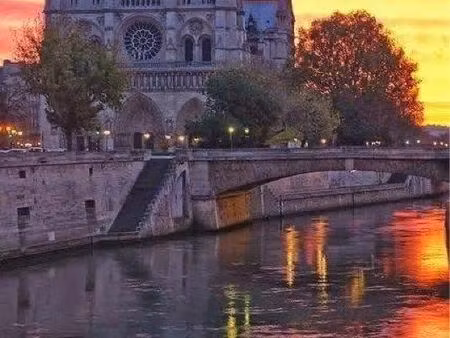 a louer local commercial paris 5  quartier notre dame de paris