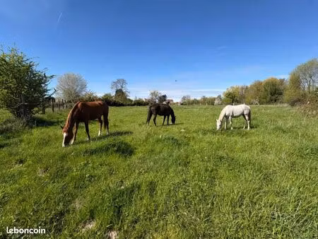 terrain 4 833 m² moncheaux