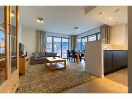 lumineux - bel app. meublé 2 ch. avec terrasse - (otan)