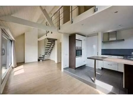 duplex avec 2 chambres et terrasse