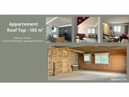 appartement duplex roof top nancy