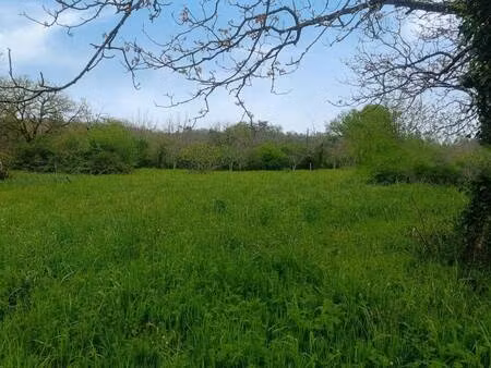 terrain constructible à vendre