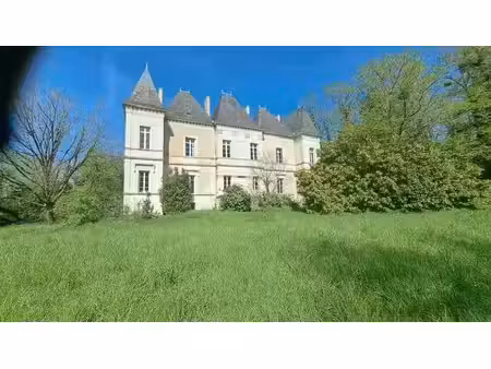 château à vendre