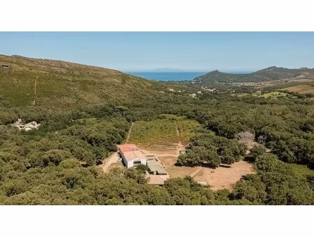maison de luxe à vendre à pietracorbara