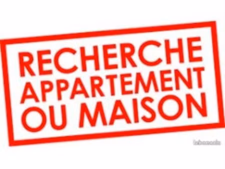 recherche location logement