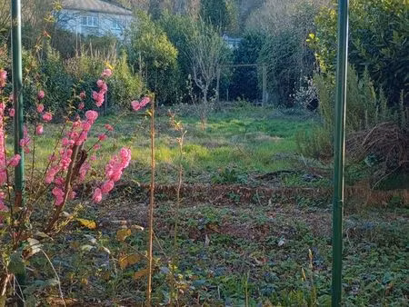 terrain constructible