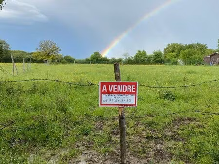 terrain constructible